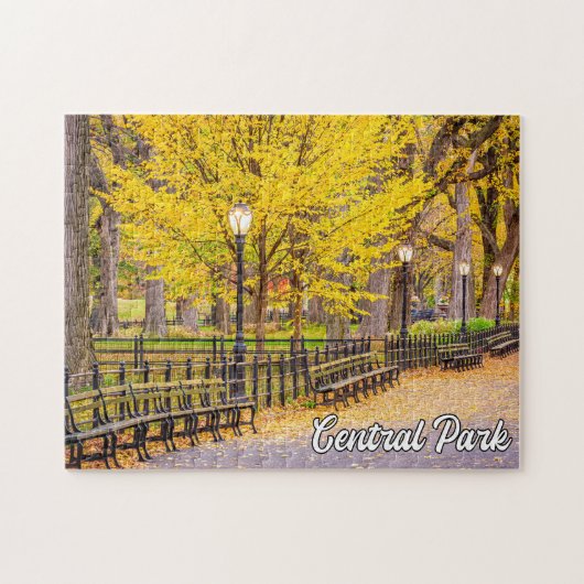 Central Park, Manhattan, New York, USA Puzzle (Horizontal)