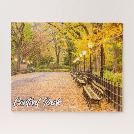 Central Park, Manhattan, New York, USA Puzzle (Horizontal)