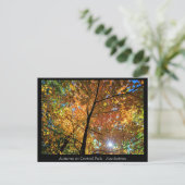 Central Park Manhattan Postcard Postkarte (Stehend Vorderseite)