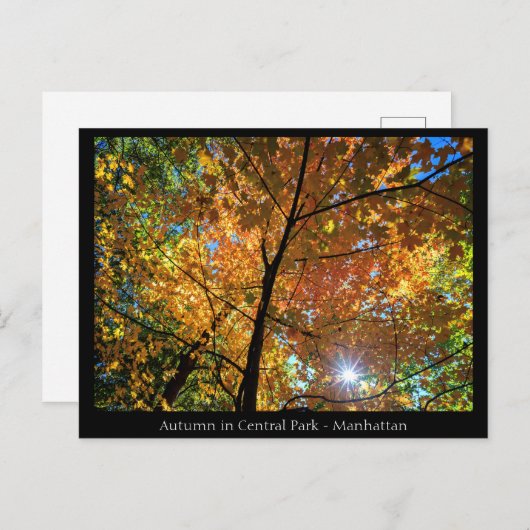 Central Park Manhattan Postcard Postkarte (Vorne/Hinten)