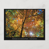 Central Park Manhattan Postcard Postkarte (Vorderseite)