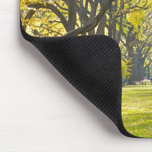 Central Park Mousepad (Ecke)