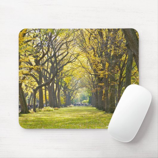 Central Park Mousepad (Mit Mouse)