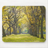 Central Park Mousepad (Vorne)