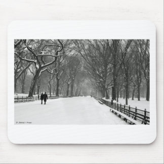 Central Park Mousepad