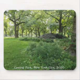 Central Park Natur New York City Bäume Mauspad