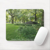 Central Park Nature New York City Trees Mousepad (Mit Mouse)