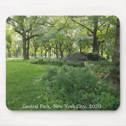 Central Park Nature New York City Trees Mousepad (Vorne)