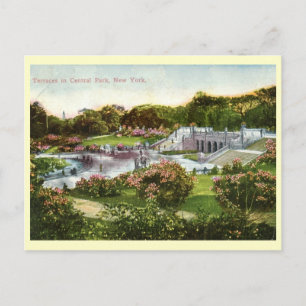 Central Park, New York City 1916 Vintage Postkarte