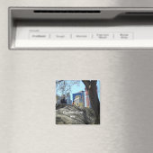 Central Park, New York City Magnet (In Situ (Geschirrspüler))