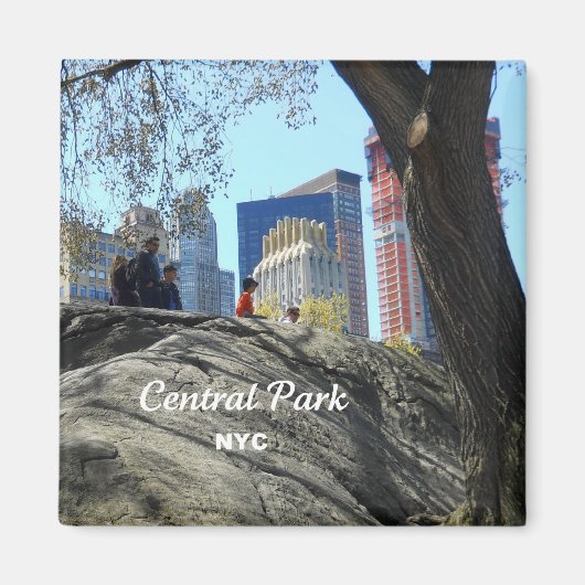 Central Park, New York City Magnet (Vorne)