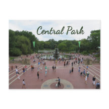 Central Park New York City Postcard