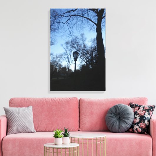 Central Park, New York City, USA Leinwanddruck (Insitu (Wohnzimmer))