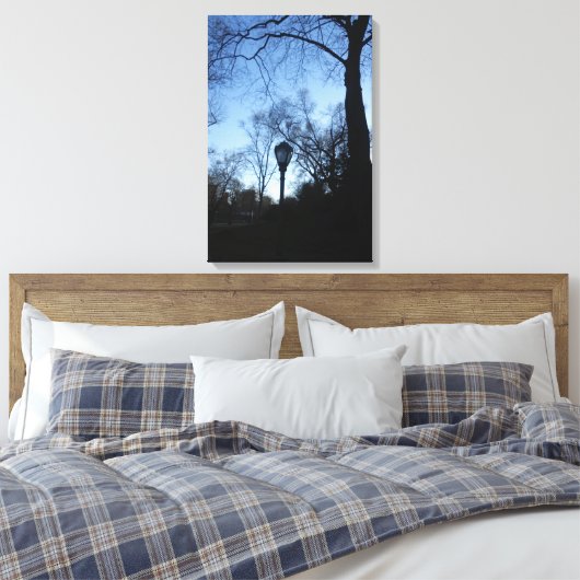 Central Park, New York City, USA Leinwanddruck (Insitu (Schlafzimmer))