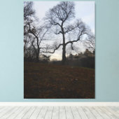 Central Park, New York City, USA Leinwanddruck (Insitu (Holzboden))