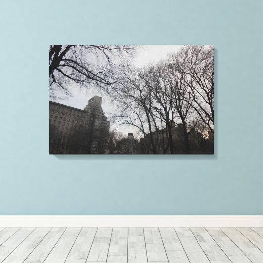 Central Park, New York City, USA Leinwanddruck (Insitu (Holzboden))