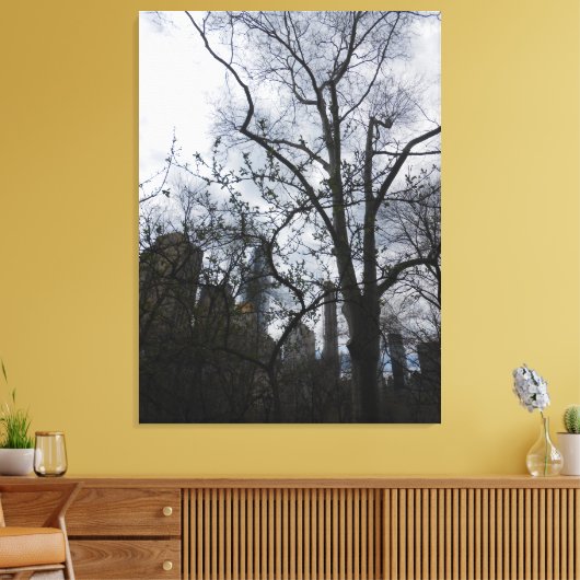 Central Park, New York City, USA Leinwanddruck (Insitu (Wohnzimmer))