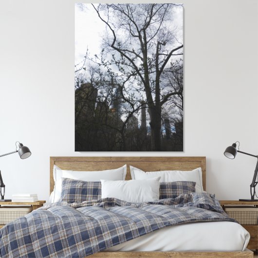 Central Park, New York City, USA Leinwanddruck (Insitu (Schlafzimmer))