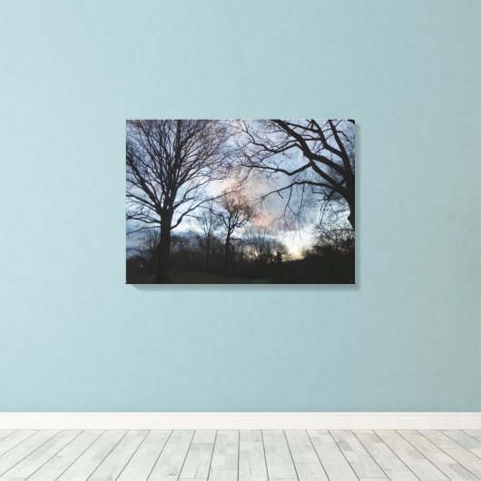 Central Park, New York City, USA Leinwanddruck (Insitu (Holzboden))