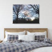 Central Park, New York City, USA Leinwanddruck (Insitu (Schlafzimmer))