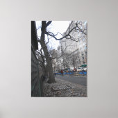 Central Park, New York City, USA Leinwanddruck (Vorderseite)