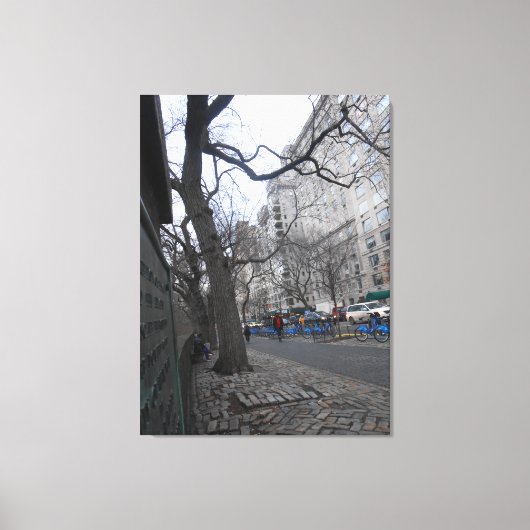 Central Park, New York City, USA Leinwanddruck (Vorderseite)