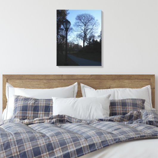 Central Park, New York City, USA Leinwanddruck (Insitu (Schlafzimmer))