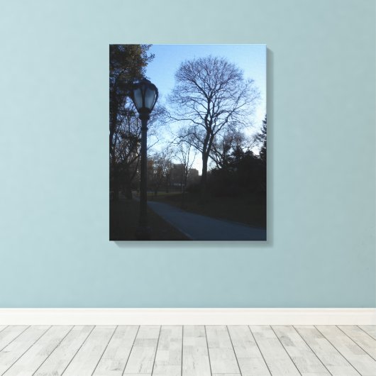 Central Park, New York City, USA Leinwanddruck (Insitu (Holzboden))