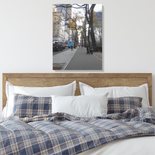 Central Park, New York City, USA Leinwanddruck (Insitu (Schlafzimmer))