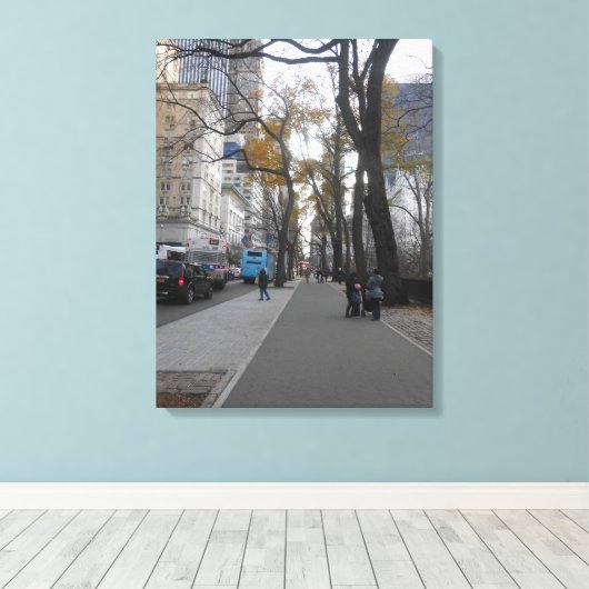 Central Park, New York City, USA Leinwanddruck (Insitu (Holzboden))