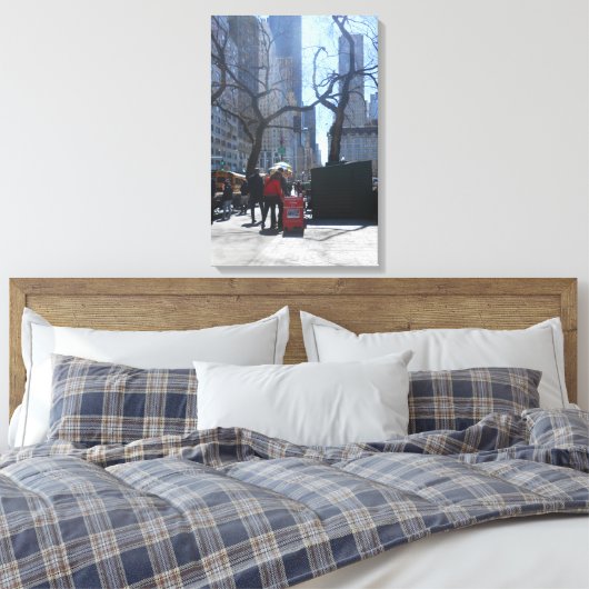 Central Park, New York City, USA Leinwanddruck (Insitu (Schlafzimmer))