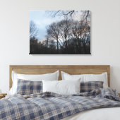 Central Park, New York City, USA Leinwanddruck (Insitu (Schlafzimmer))