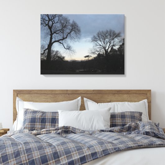 Central Park, New York City, USA Leinwanddruck (Insitu (Schlafzimmer))