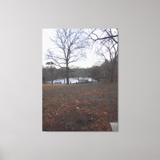 Central Park, New York City, USA Leinwanddruck (Vorderseite)