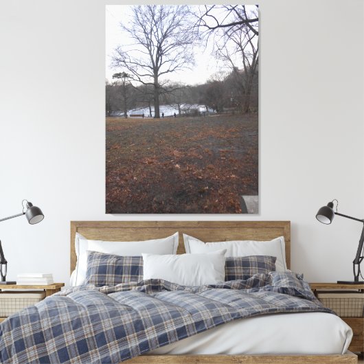 Central Park, New York City, USA Leinwanddruck (Insitu (Schlafzimmer))