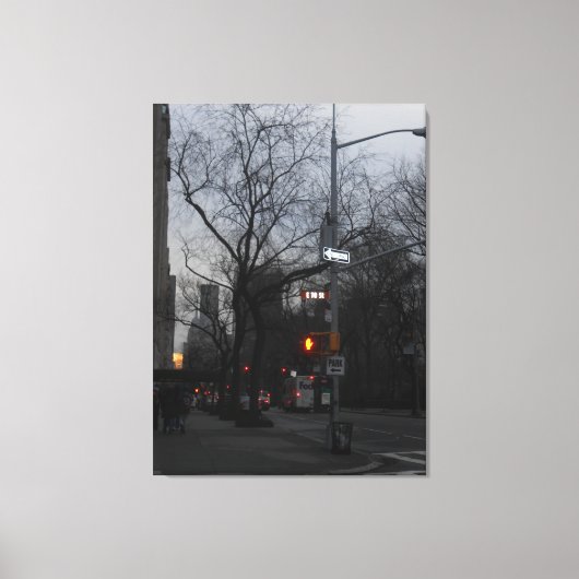 Central Park, New York City, USA Leinwanddruck (Vorderseite)