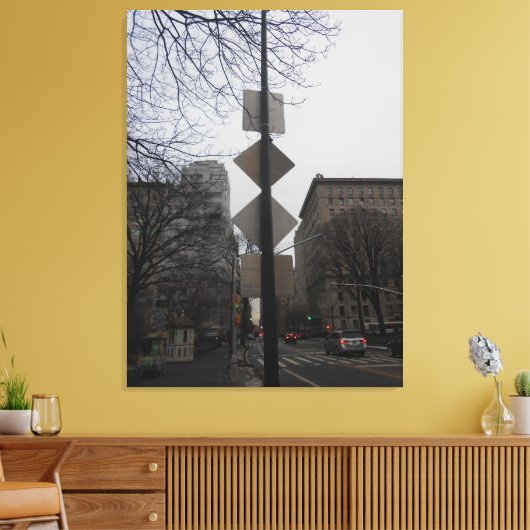 Central Park, New York City, USA Leinwanddruck (Insitu (Wohnzimmer))