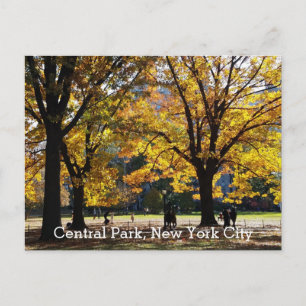 Central Park New York Herbst Gelbe Bäume Postkarte