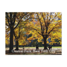 Central Park New York Herbstgelbe Bäume