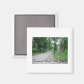 Central Park, New York Magnet (Vorderseite/Rückseite)