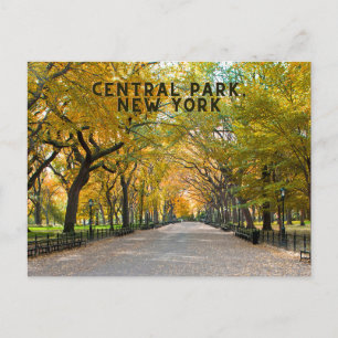 Central Park, New York Postcard Souvenir Postkarte