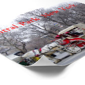 Central Park / New York Poster (Ecke)