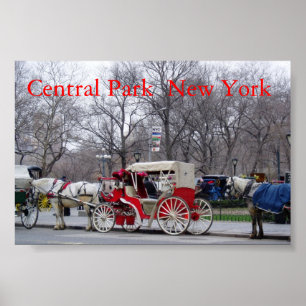 Central Park/New York Poster