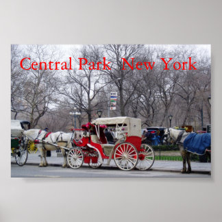 Central Park / New York Poster