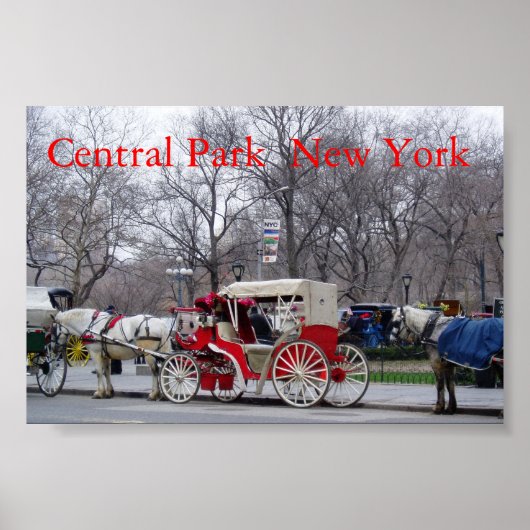 Central Park / New York Poster (Vorne)