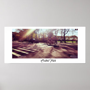 CENTRAL PARK NEW YORK POSTER