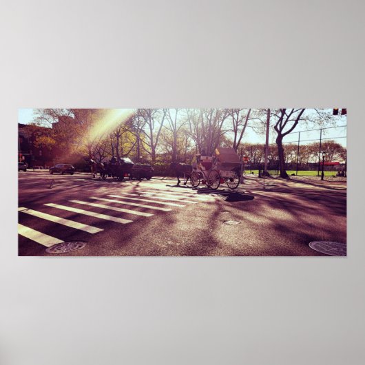 CENTRAL PARK NEW YORK POSTER (Vorne)