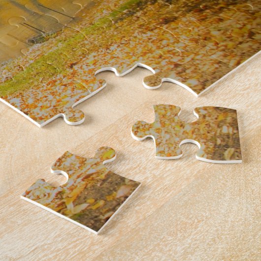 Central Park New York. Puzzle (Seite)