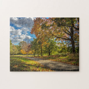 Central Park New York Puzzle