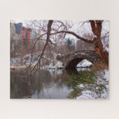 Central Park New York. Puzzle (Horizontal)